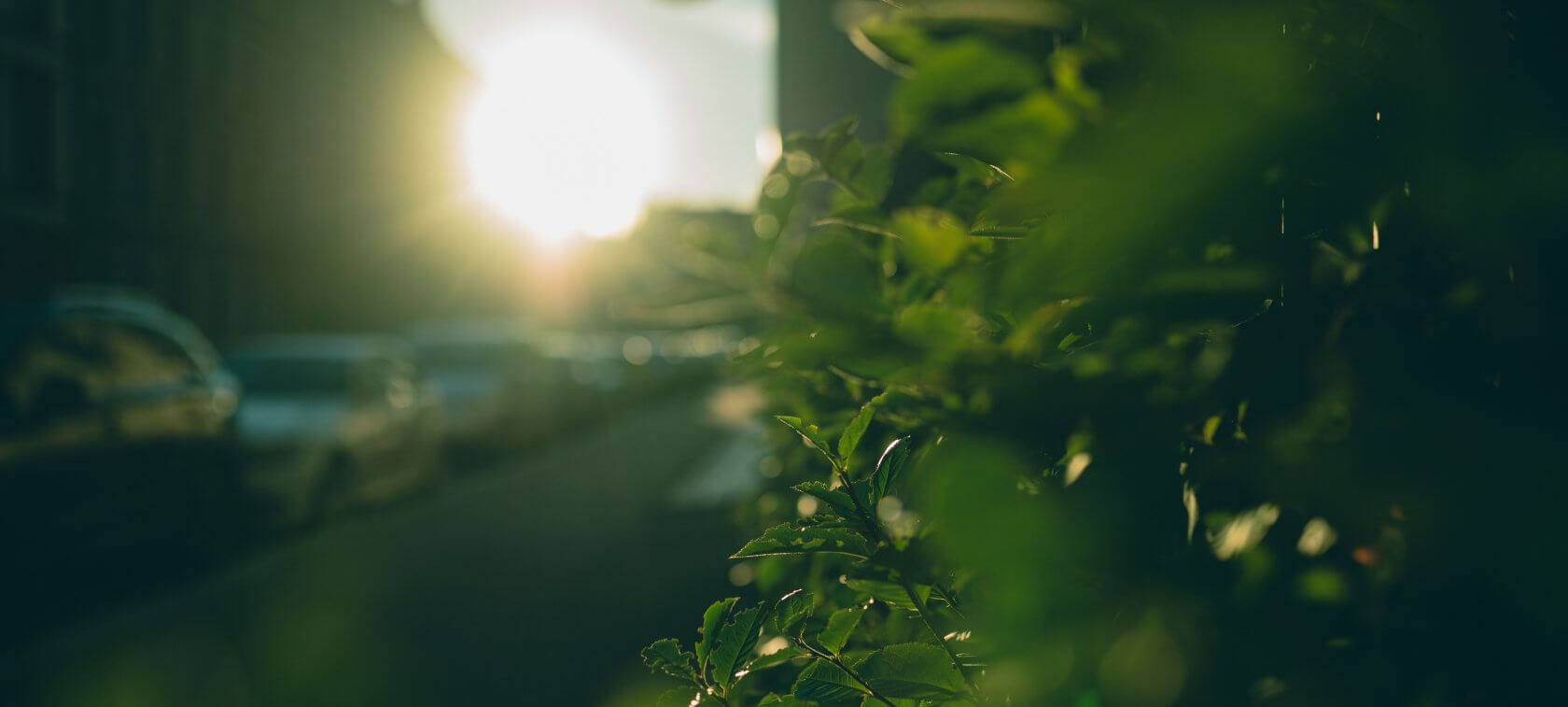 Planter